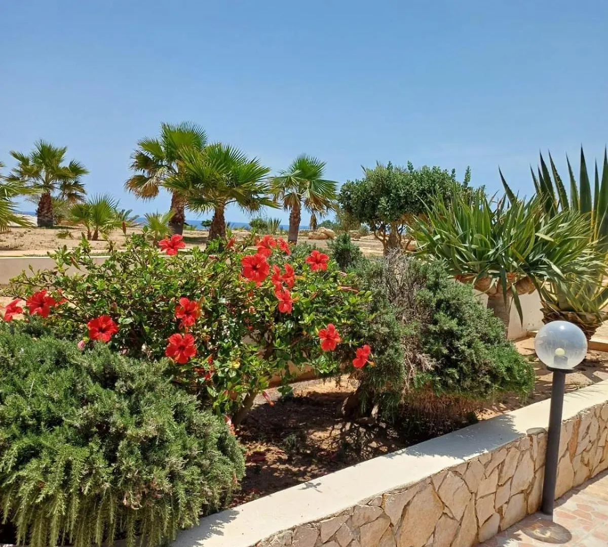 Aparthotel Residence Punta Sottile Lampedusa 150 Mt Dalla Spiaggia Cala Francese Italy
